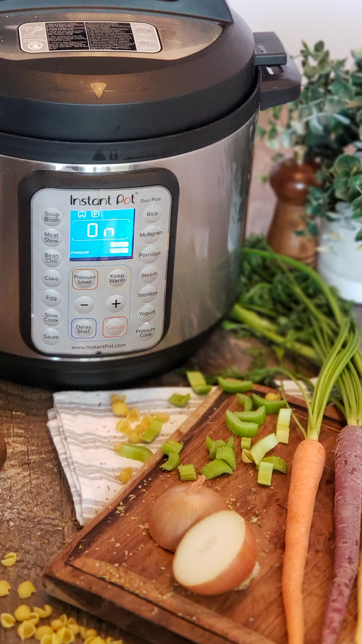 Instant Pot Minestrone Soup Recipe - Tidy Mo